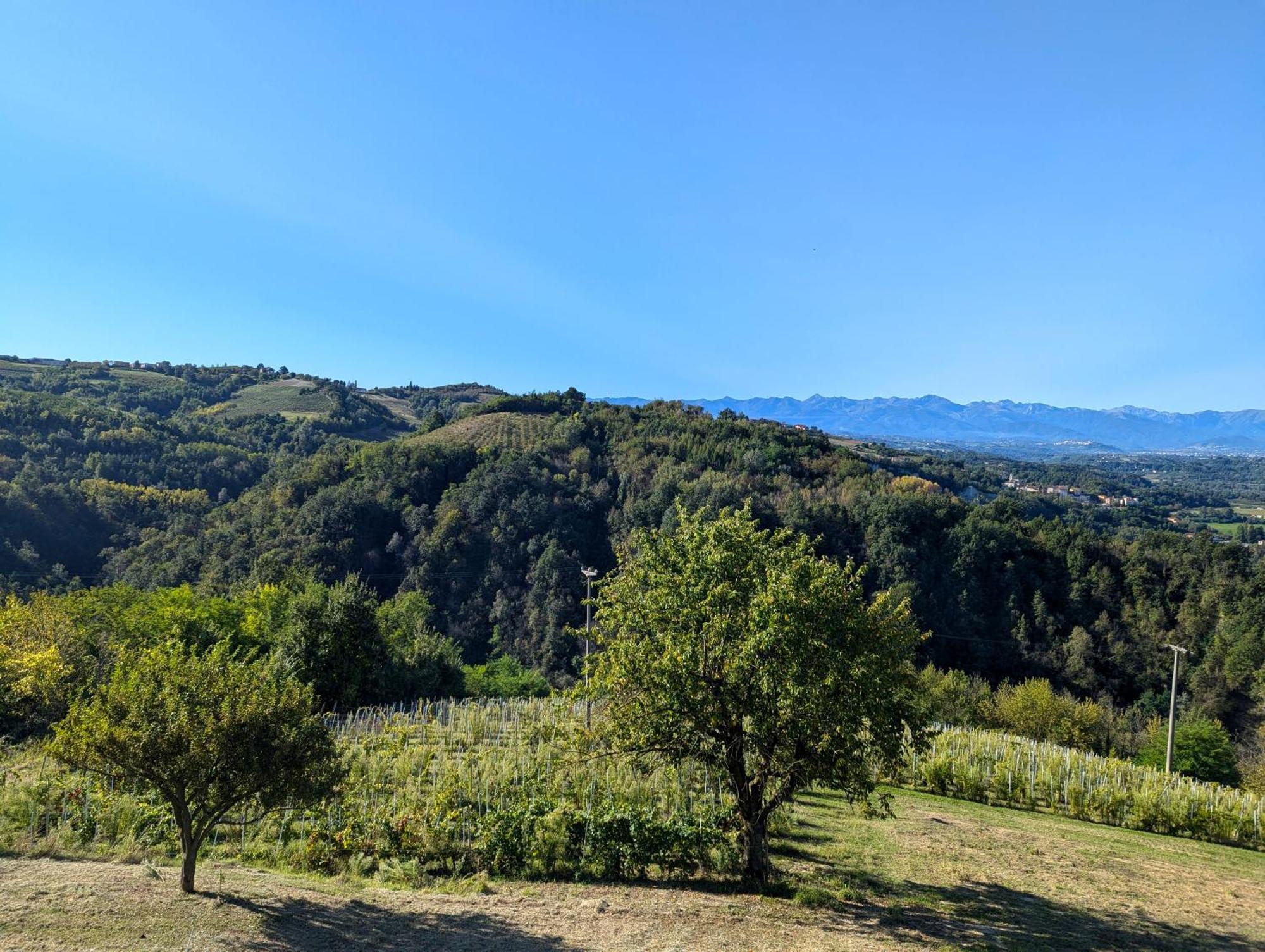 Casa Felice Villa Farigliano Exteriör bild